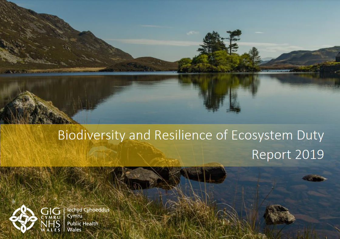 Biodiversity And Resilience Of Ecosystem Duty Report 2019 - World ...