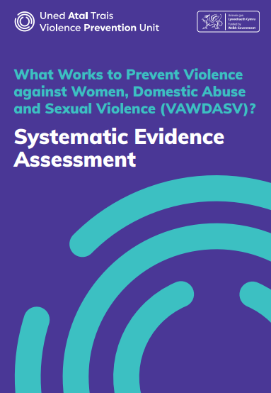 What Works to Prevent Violence against Women, Domestic Abuse and Sexual ...