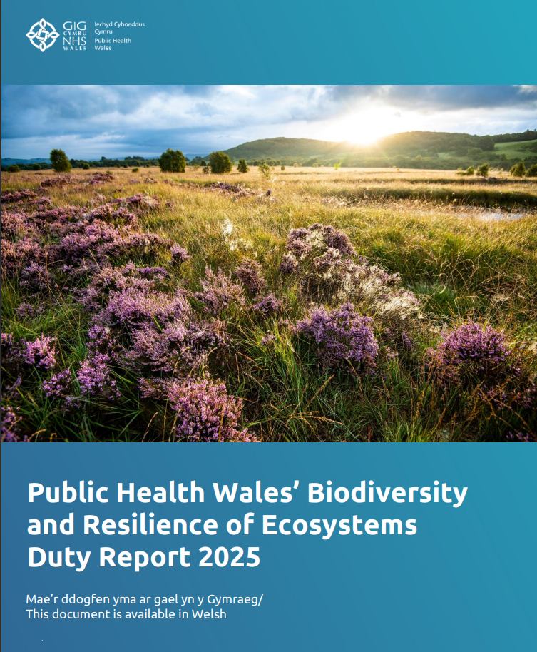 The front cover has the title of the report - Biodiversity and Resilience of Ecosystems Report - and a photo of a Welsh mountain landscape with heather and mountains